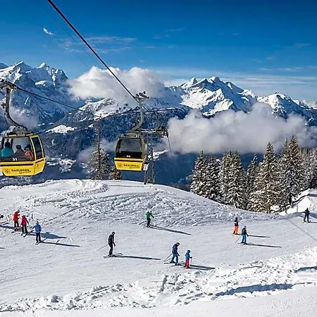 Panorama