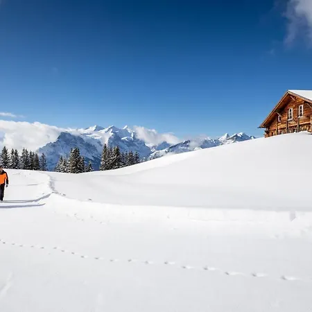 Panorama מלון הסליברג