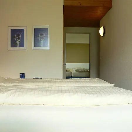 Hotel Panorama Hasliberg